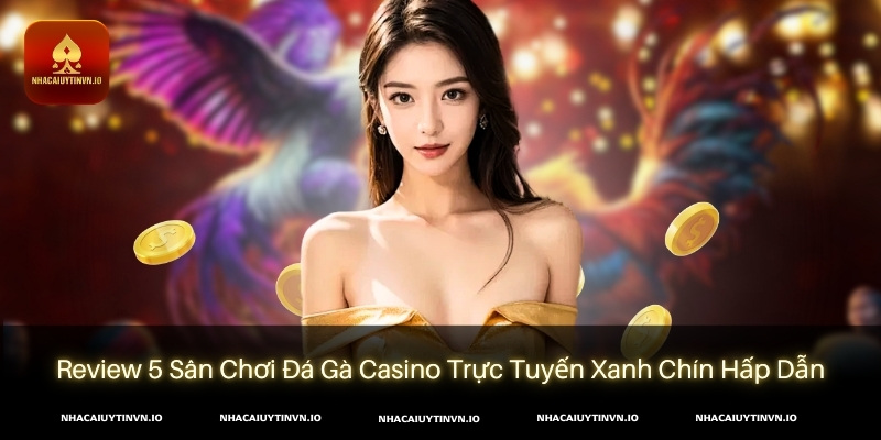 Đá gà casino rất được ưa chuộng ở hiện tại