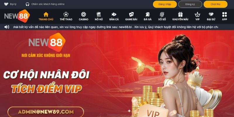 Hội viên có thể yên tâm về độ bảo mật tại nhà cái New88 