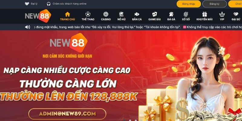 Tận hưởng khuyến mãi từ nhà cái New88 mỗi ngày