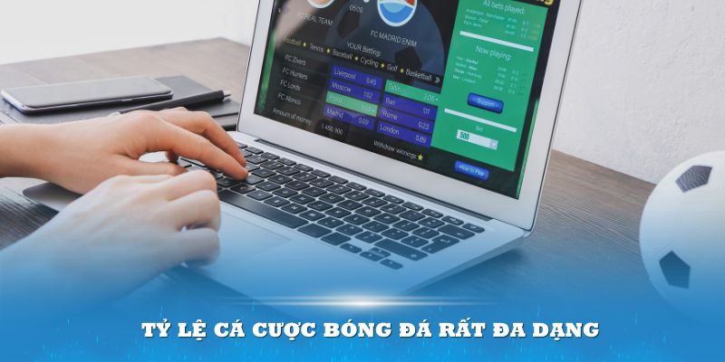 Tỷ lệ cá cược bóng đá rất đa dạng theo loại hình